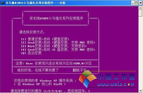 老毛桃WinPE小马强化版V5.3版