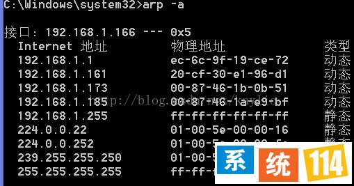 输入：arp -a 
