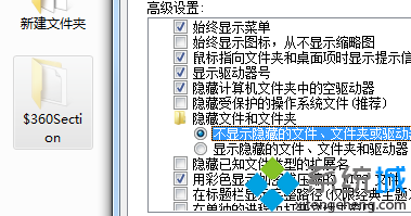 选项隐藏此类文件夹