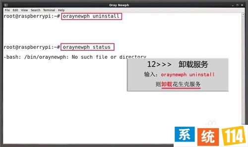 树莓派花生壳（内网版）攻略