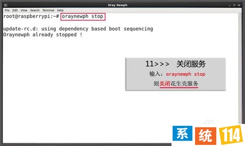 树莓派花生壳（内网版）攻略