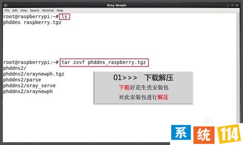 树莓派花生壳（内网版）攻略