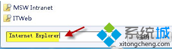 键入 Internet Explorer