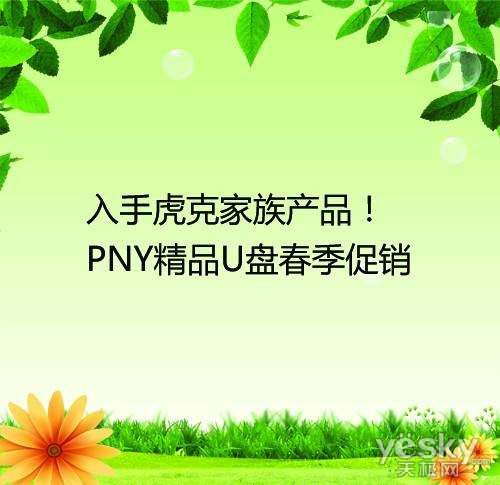 虎克家族产品齐亮相！PNY精品U盘春季促销