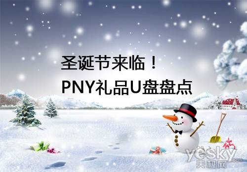 传统佳节将至 圣诞节PNY礼品U盘盘点