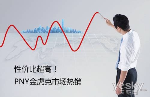 性价比超高！PNY金虎克市场热销