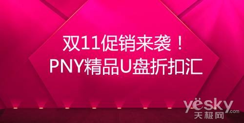 双11促销来袭！PNY精品U盘折扣汇