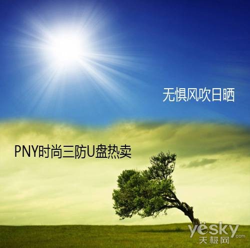 无惧风吹日晒 PNY时尚三防U盘热卖