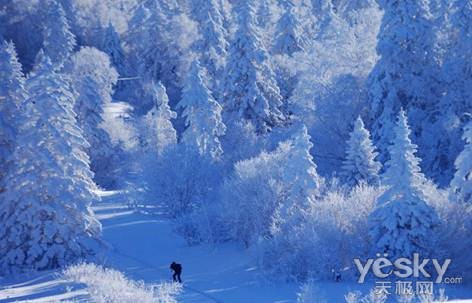 赏雪 金士顿专业闪存卡“记忆”冰雪体验