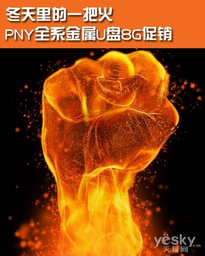 冬天里的一把火 PNY全系金属U盘8G促销