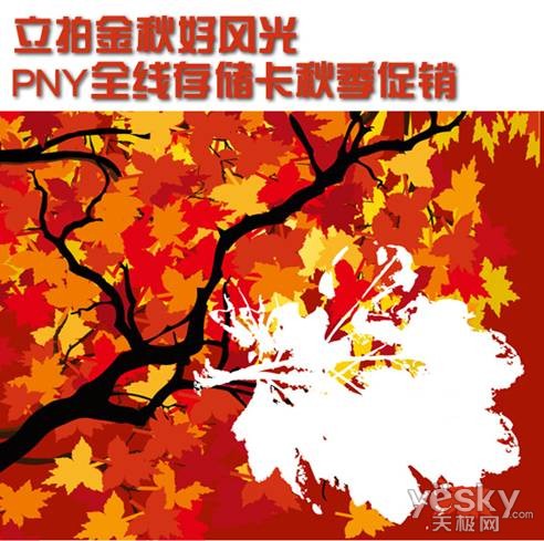 立拍金秋好风光 PNY全线存储卡秋季促销