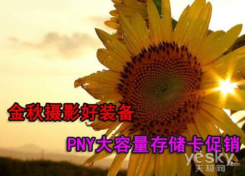 金秋摄影好装备！PNY大容量存储卡促销