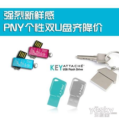 强烈新鲜感 PNY个性双U盘齐降价