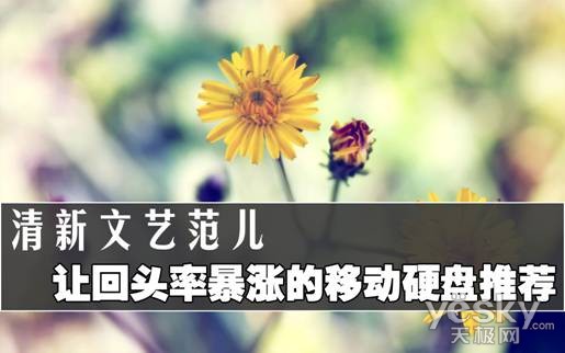 小清新 让回头率暴涨的移动硬盘推荐